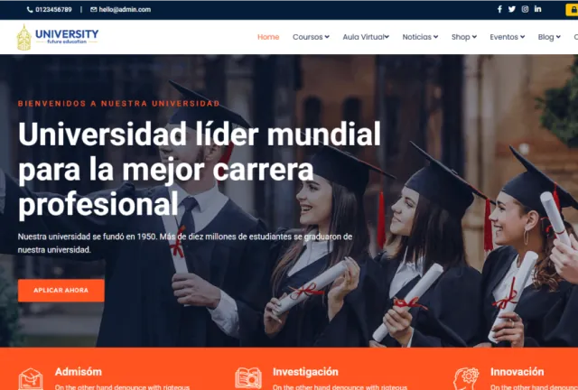 Diseño y Desarrollo Web Profesional